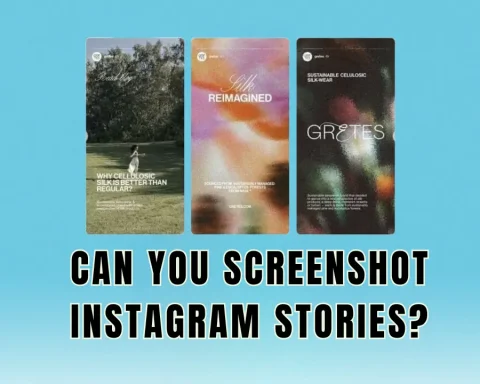 Can You Screenshot Instagram Stories